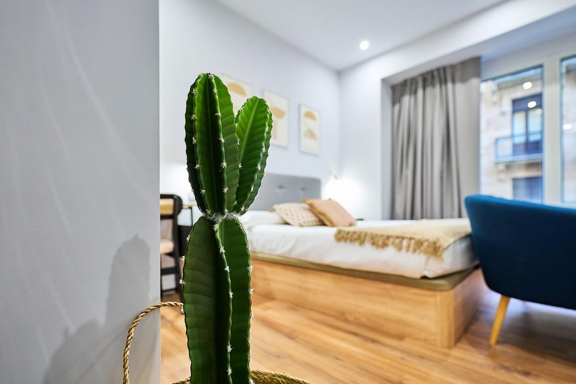 Apartamentos Esperanza By Gaiarooms Salamanca Kültér fotó